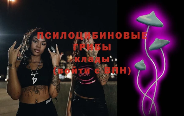 спайс Алексин