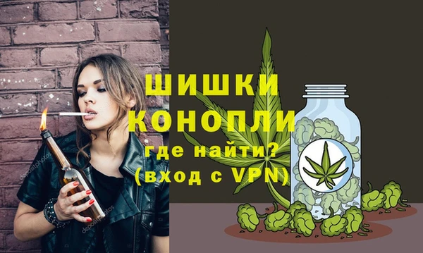 спайс Алексин