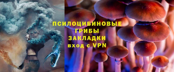 спайс Алексин