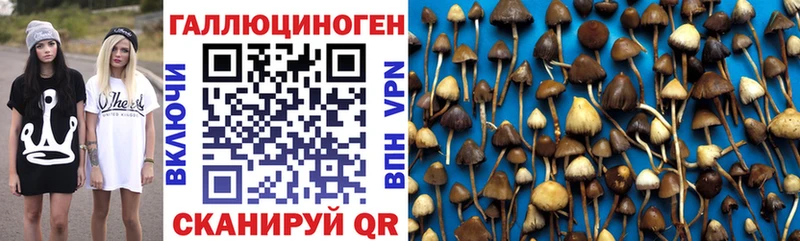ОМГ ОМГ ссылка  Бокситогорск  Псилоцибиновые грибы GOLDEN TEACHER 